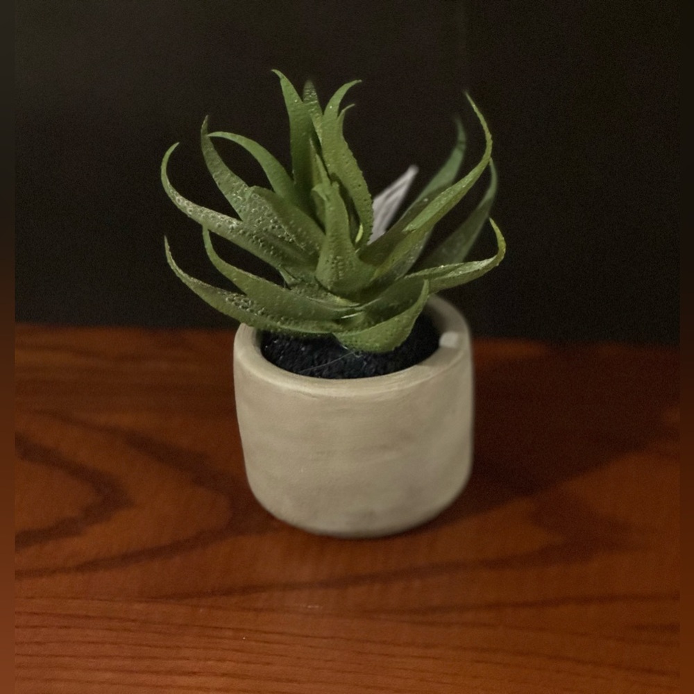 Kohl’s Decorative Green Botanical in Grey Ceramic Planter